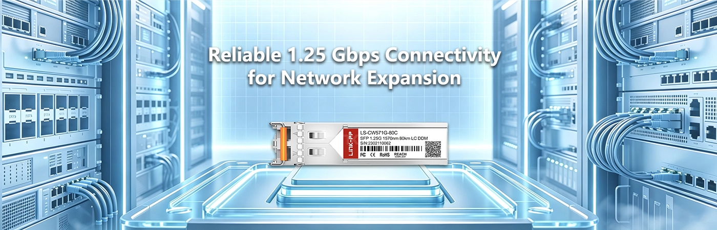 LS-CW571G-80C: Reliable 1.25 Gbps Connectivity for Network Expansion