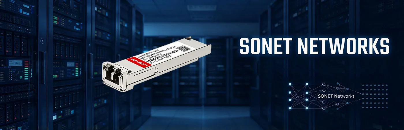 LX-MM8510-S3C: 10G Connectivity for SONET Networks