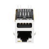RC-122C09-015互換 LINK-PP LPJU3101AONL 10/100 Base-T (シングル USB RJ45 メス コネクタ付き) サム画像 2