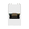 Kompatibel dengan UDE RVB-ZZ-0004 LINK-PP LPJD3012B36NL 10/100 Base-T Vertical RJ45 Magjack Green/Orange LED thumb image 1