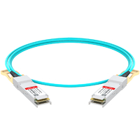 LQ-AOC11200-10 Cable óptico activo de ruptura de 200G QSFP56 a 2x100G QSFP56 de 10 m (33 pies)