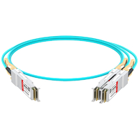 Mellanox MFS1S50-V005E 互換 LINK-PP LQD-AOC12200-5M 200G QSFP56 ～ 2x100G QSFP56 ブレークアウト アクティブ光ケーブル 5m (16 フィート)