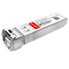 LS-BL273310-60C