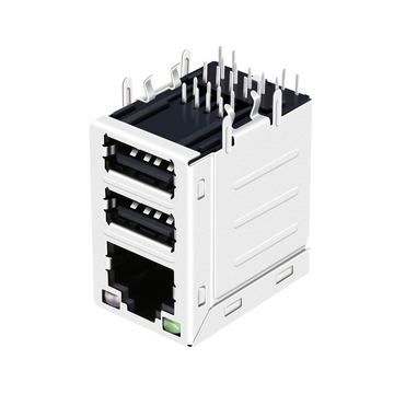 Совместимо с JW0-0006NL LINK-PP LPJU53422B50NL Разъем RJ45 100/1000 Base-T с двумя портами USB 2.0 и зеленым/зелено-желтым светодиодом (изображение 3)
