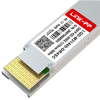 FS QDD-DR4-400G-Si kompatibel LINK-PP 400GBASE-DR4 QSFP-DD 8 x 50G PAM4 1310nm 500m MPO-12/APC Siliziumphotonik SMF Optisches Transceiver-Modul (Miniaturbild 5)