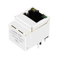 1000 Base-T RJ45-Anschluss